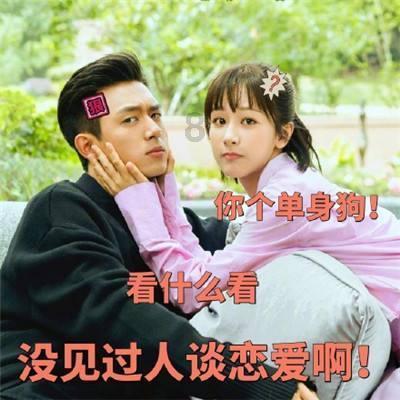 沪江开心词场