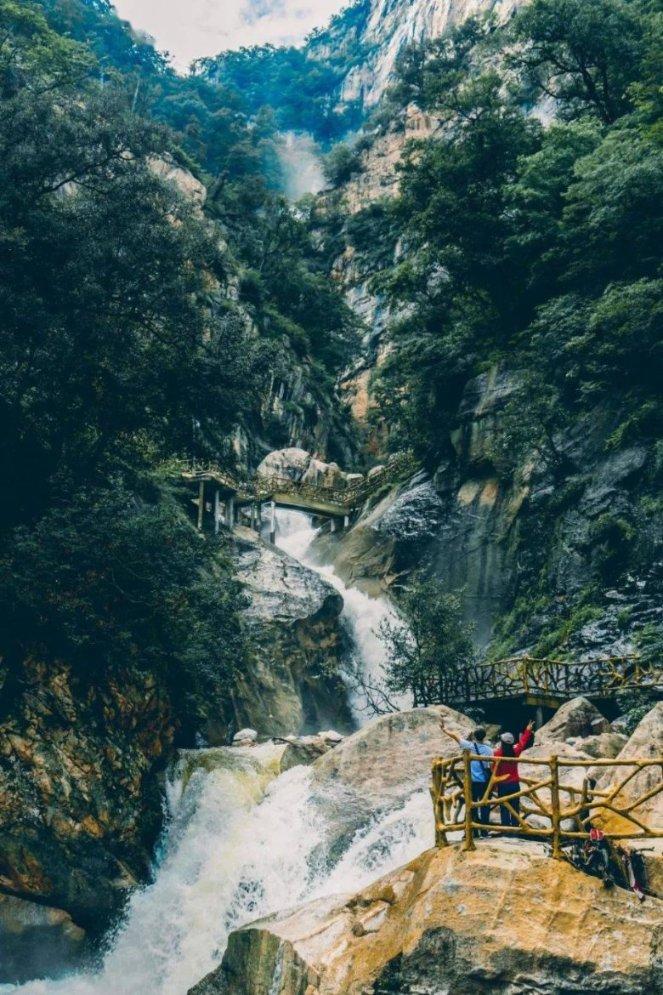 探究植物神经紊乱：为何你的身体会出现这些症状？